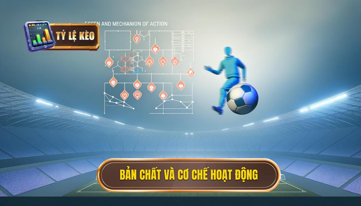  Bản chất và cơ chế hoạt động