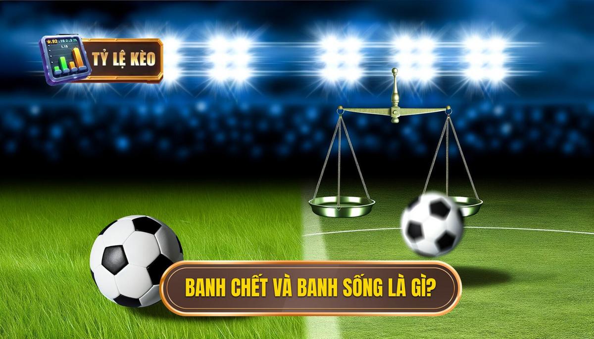 Banh chết và banh sống là gì? 3 Banh chết và banh sống là gì