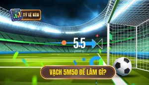 Vạch 5m50 để làm gì_